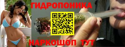 СК Мариинск