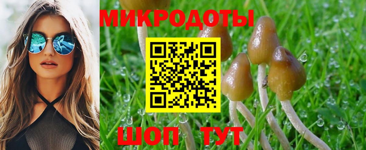 Верхний Уфалей  Галлюциногенные грибы прущие грибы  Вход с VPN  Псилоцибиновые грибы ЛСД 